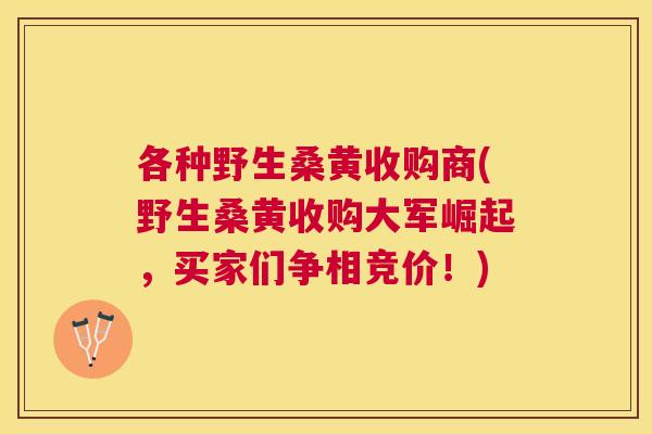 各种野生桑黄收购商(野生桑黄收购大军崛起，买家们争相竞价！)