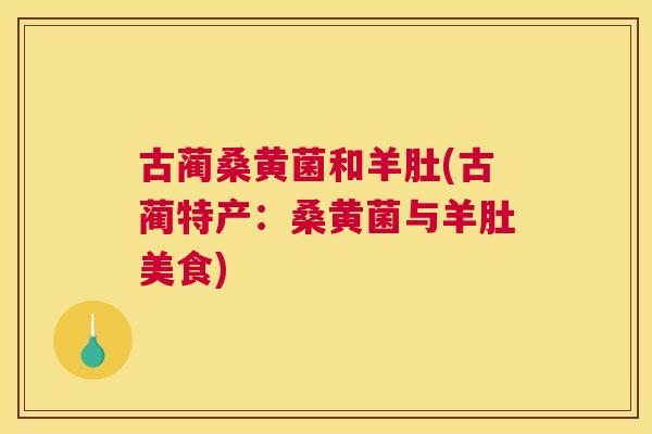 古蔺桑黄菌和羊肚(古蔺特产：桑黄菌与羊肚美食)