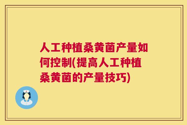 人工种植桑黄菌产量如何控制(提高人工种植桑黄菌的产量技巧)