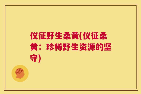 仪征野生桑黄(仪征桑黄：珍稀野生资源的坚守)