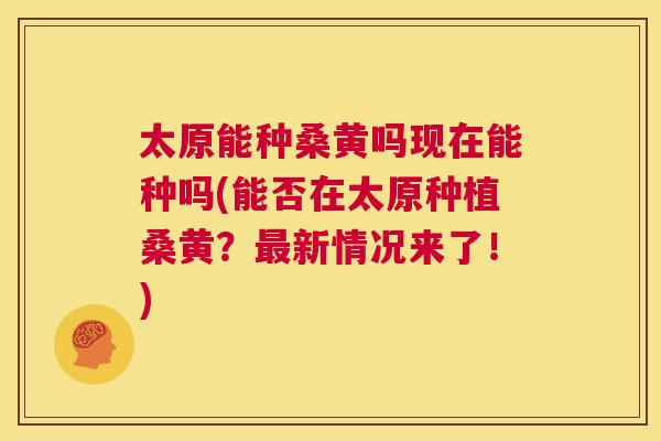 太原能种桑黄吗现在能种吗(能否在太原种植桑黄？新情况来了！)