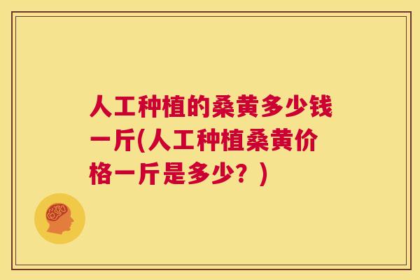 人工种植的桑黄多少钱一斤(人工种植桑黄价格一斤是多少？)