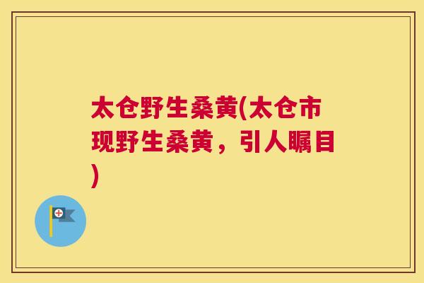 太仓野生桑黄(太仓市现野生桑黄，引人瞩目)