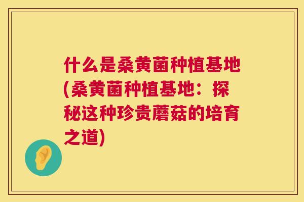 什么是桑黄菌种植基地(桑黄菌种植基地：探秘这种珍贵蘑菇的培育之道)