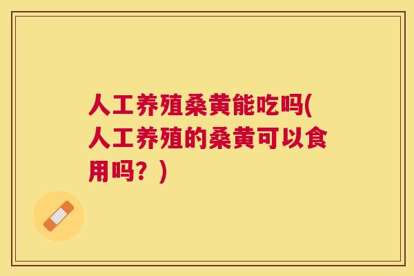 人工养殖桑黄能吃吗(人工养殖的桑黄可以食用吗？)