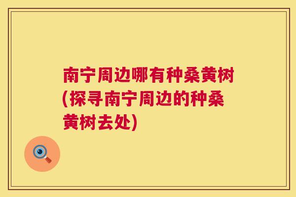 南宁周边哪有种桑黄树(探寻南宁周边的种桑黄树去处)