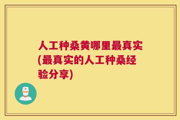 人工种桑黄哪里真实(真实的人工种桑经验分享)
