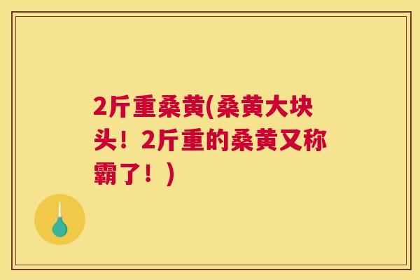 2斤重桑黄(桑黄大块头！2斤重的桑黄又称霸了！)