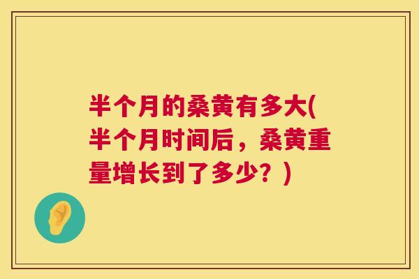 半个月的桑黄有多大(半个月时间后，桑黄重量增长到了多少？)