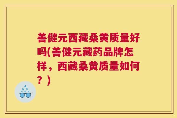 善健元西藏桑黄质量好吗(善健元藏药品牌怎样，西藏桑黄质量如何？)