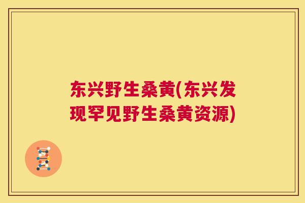 东兴野生桑黄(东兴发现罕见野生桑黄资源)