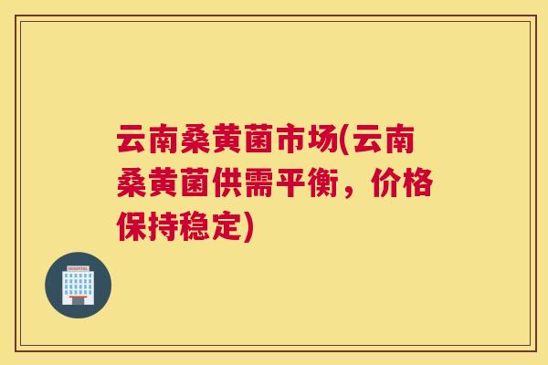 云南桑黄菌市场(云南桑黄菌供需平衡，价格保持稳定)