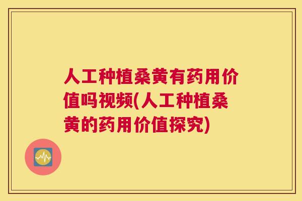 人工种植桑黄有药用价值吗视频(人工种植桑黄的药用价值探究)