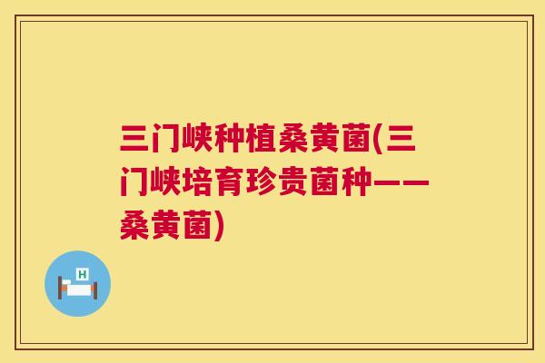 三门峡种植桑黄菌(三门峡培育珍贵菌种——桑黄菌)
