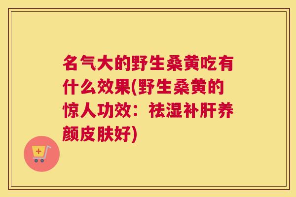 名气大的野生桑黄吃有什么效果(野生桑黄的惊人功效：祛湿补养颜好)