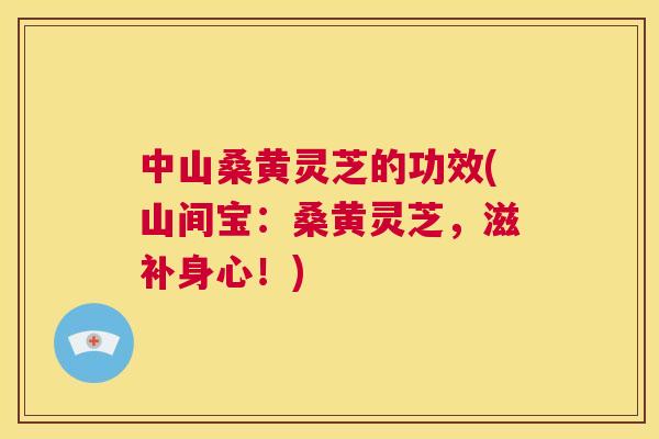 中山桑黄灵芝的功效(山间宝：桑黄灵芝，滋补身心！)