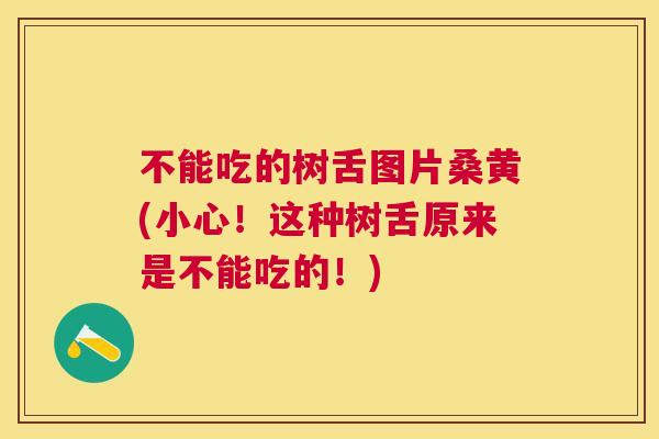 不能吃的树舌图片桑黄(小心！这种树舌原来是不能吃的！)