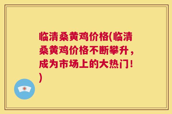 临清桑黄鸡价格(临清桑黄鸡价格不断攀升，成为市场上的大热门！)