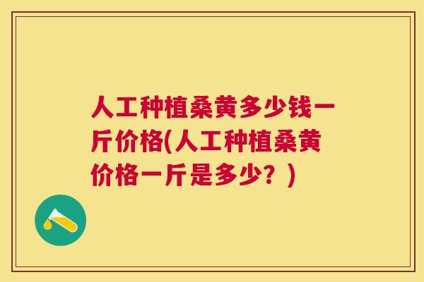 人工种植桑黄多少钱一斤价格(人工种植桑黄价格一斤是多少？)