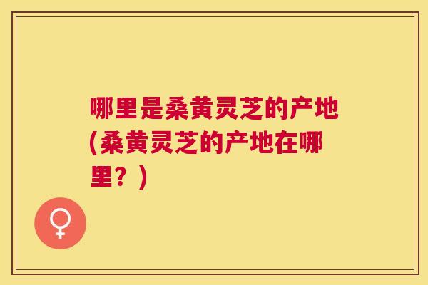 哪里是桑黄灵芝的产地(桑黄灵芝的产地在哪里？)