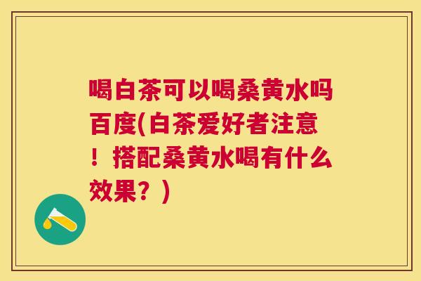 喝白茶可以喝桑黄水吗百度(白茶爱好者注意！搭配桑黄水喝有什么效果？)