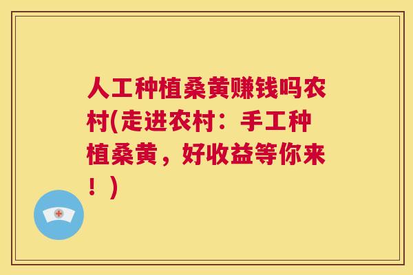 人工种植桑黄赚钱吗农村(走进农村：手工种植桑黄，好收益等你来！)