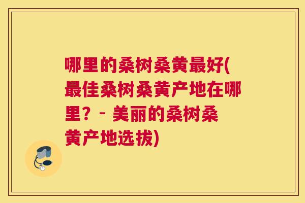 哪里的桑树桑黄好(佳桑树桑黄产地在哪里？- 美丽的桑树桑黄产地选拔)