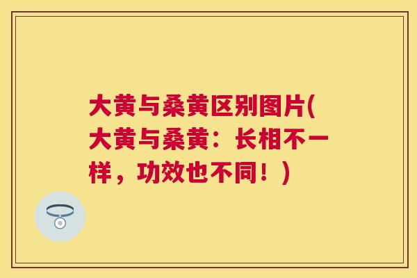 大黄与桑黄区别图片(大黄与桑黄：长相不一样，功效也不同！)