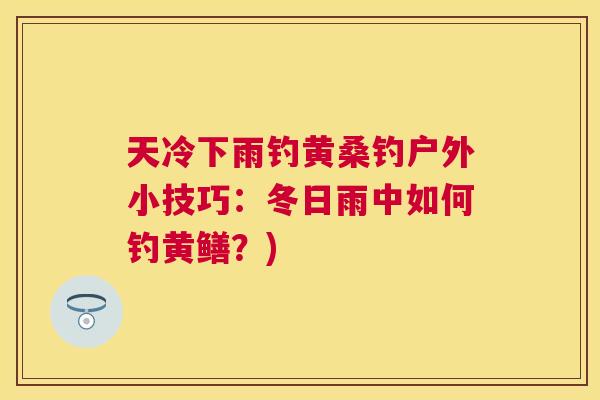 天冷下雨钓黄桑钓户外小技巧：冬日雨中如何钓黄鳝？)
