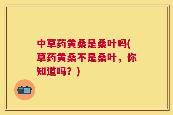 中草药黄桑是桑叶吗(草药黄桑不是桑叶，你知道吗？)
