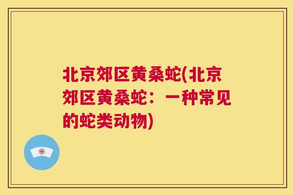 北京郊区黄桑蛇(北京郊区黄桑蛇：一种常见的蛇类动物)