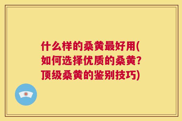 什么样的桑黄好用(如何选择优质的桑黄？桑黄的鉴别技巧)