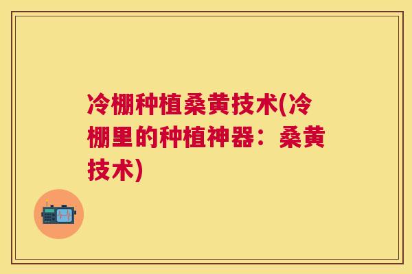 冷棚种植桑黄技术(冷棚里的种植神器：桑黄技术)