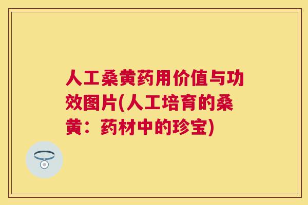 人工桑黄药用价值与功效图片(人工培育的桑黄：药材中的珍宝)