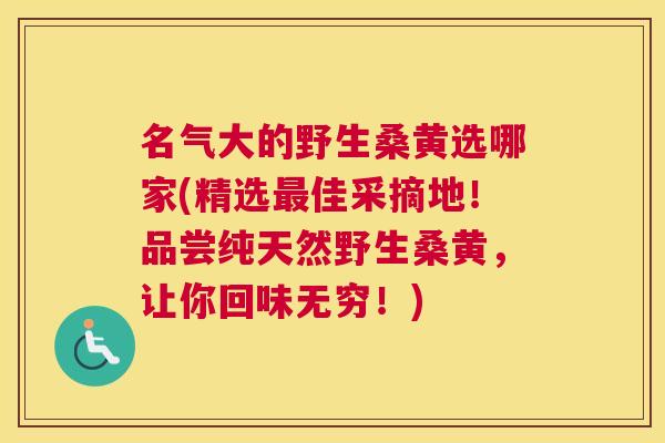 名气大的野生桑黄选哪家(精选佳采摘地！品尝纯天然野生桑黄，让你回味无穷！)