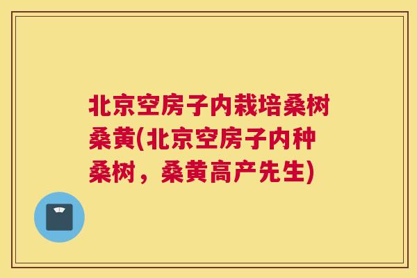 北京空房子内栽培桑树桑黄(北京空房子内种桑树，桑黄高产先生)