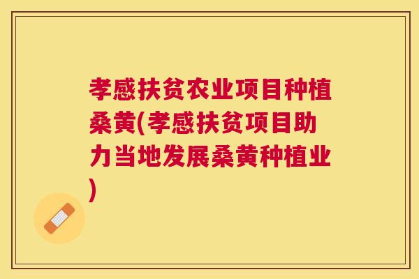 孝感扶贫农业项目种植桑黄(孝感扶贫项目助力当地发展桑黄种植业)