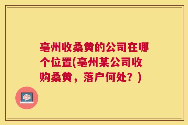 亳州收桑黄的公司在哪个位置(亳州某公司收购桑黄，落户何处？)