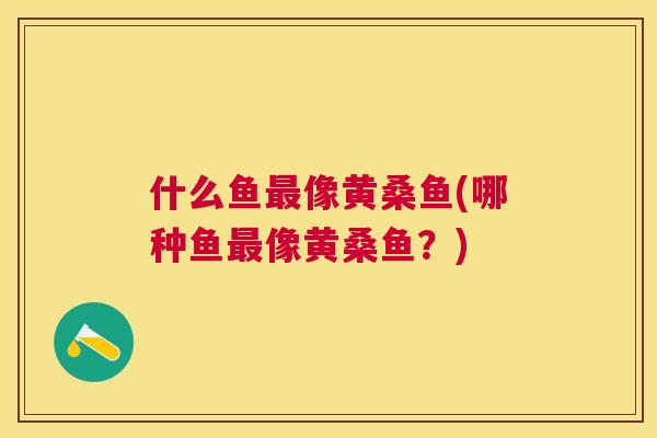 什么鱼像黄桑鱼(哪种鱼像黄桑鱼？)