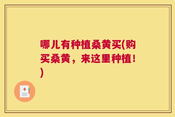 哪儿有种植桑黄买(购买桑黄，来这里种植！)