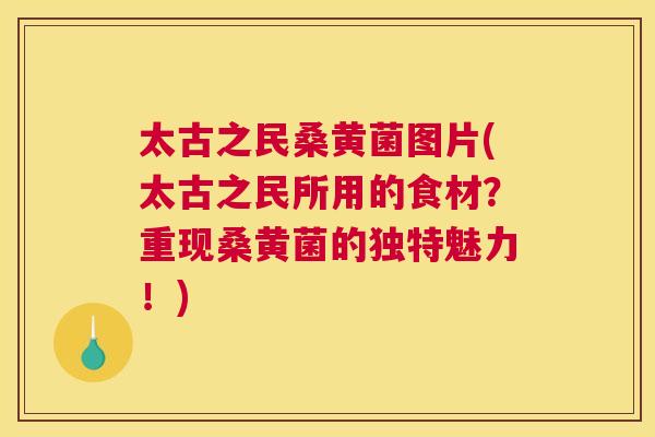 太古之民桑黄菌图片(太古之民所用的食材？重现桑黄菌的独特魅力！)