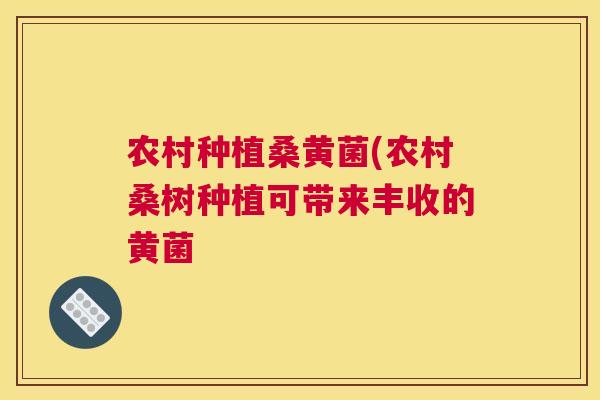 农村种植桑黄菌(农村桑树种植可带来丰收的黄菌