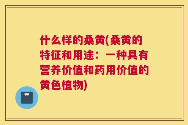 什么样的桑黄(桑黄的特征和用途：一种具有营养价值和药用价值的黄色植物)