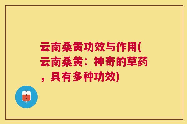 云南桑黄功效与作用(云南桑黄：神奇的草药，具有多种功效)