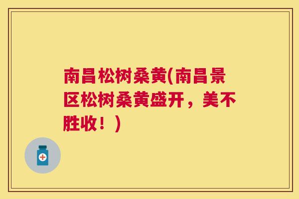 南昌松树桑黄(南昌景区松树桑黄盛开，美不胜收！)