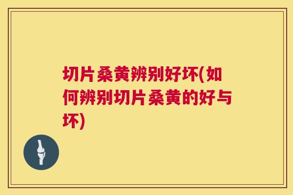 切片桑黄辨别好坏(如何辨别切片桑黄的好与坏)