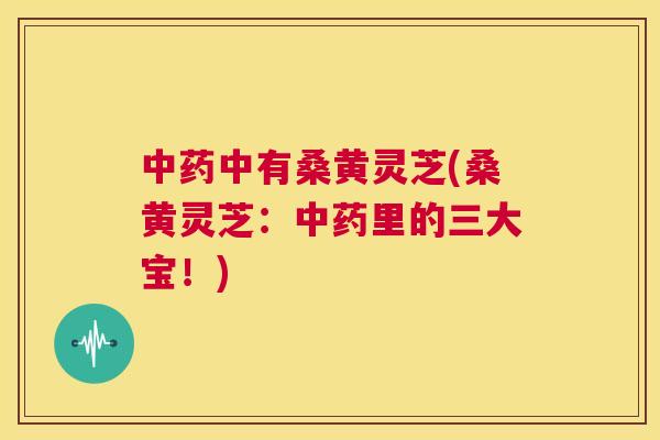 中有桑黄灵芝(桑黄灵芝:里的三大宝!) 中有桑黄灵芝(桑黄灵芝:里的三大宝!)
