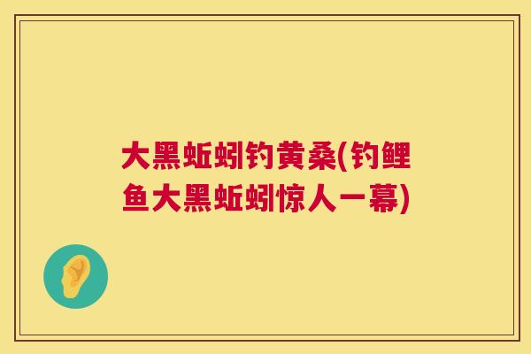 大黑蚯蚓钓黄桑(钓鲤鱼大黑蚯蚓惊人一幕) 大黑蚯蚓钓黄桑(钓鲤鱼大黑蚯蚓惊人一幕)