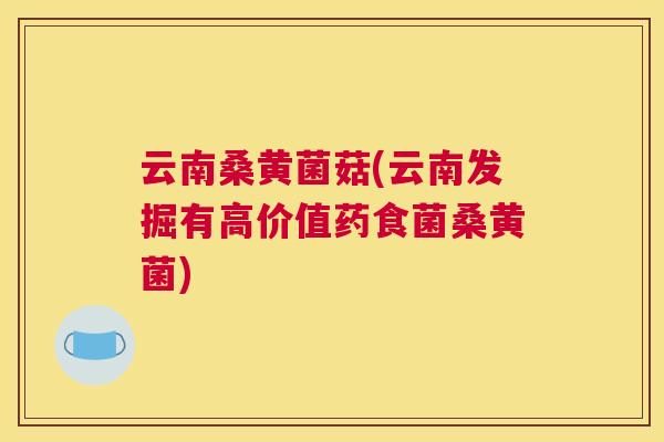 云南桑黄菌菇(云南发掘有高价值药食菌桑黄菌) 云南桑黄菌菇(云南发掘有高价值药食菌桑黄菌)