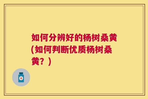 如何分辨好的杨树桑黄(如何判断优质杨树桑黄?) 如何分辨好的杨树桑黄(如何判断优质杨树桑黄?)